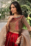 Elegant Red Velvet Lehenga Choli