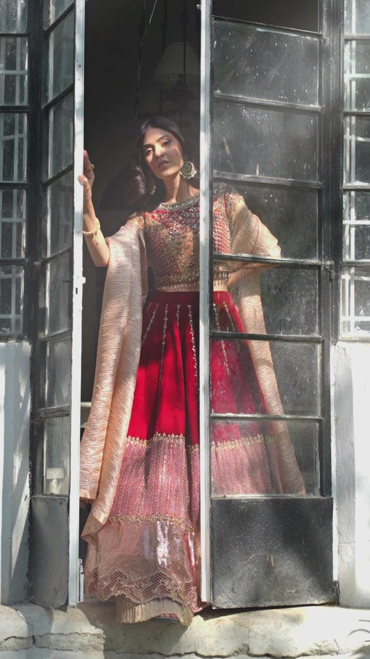 Elegant Red Velvet Lehenga Choli